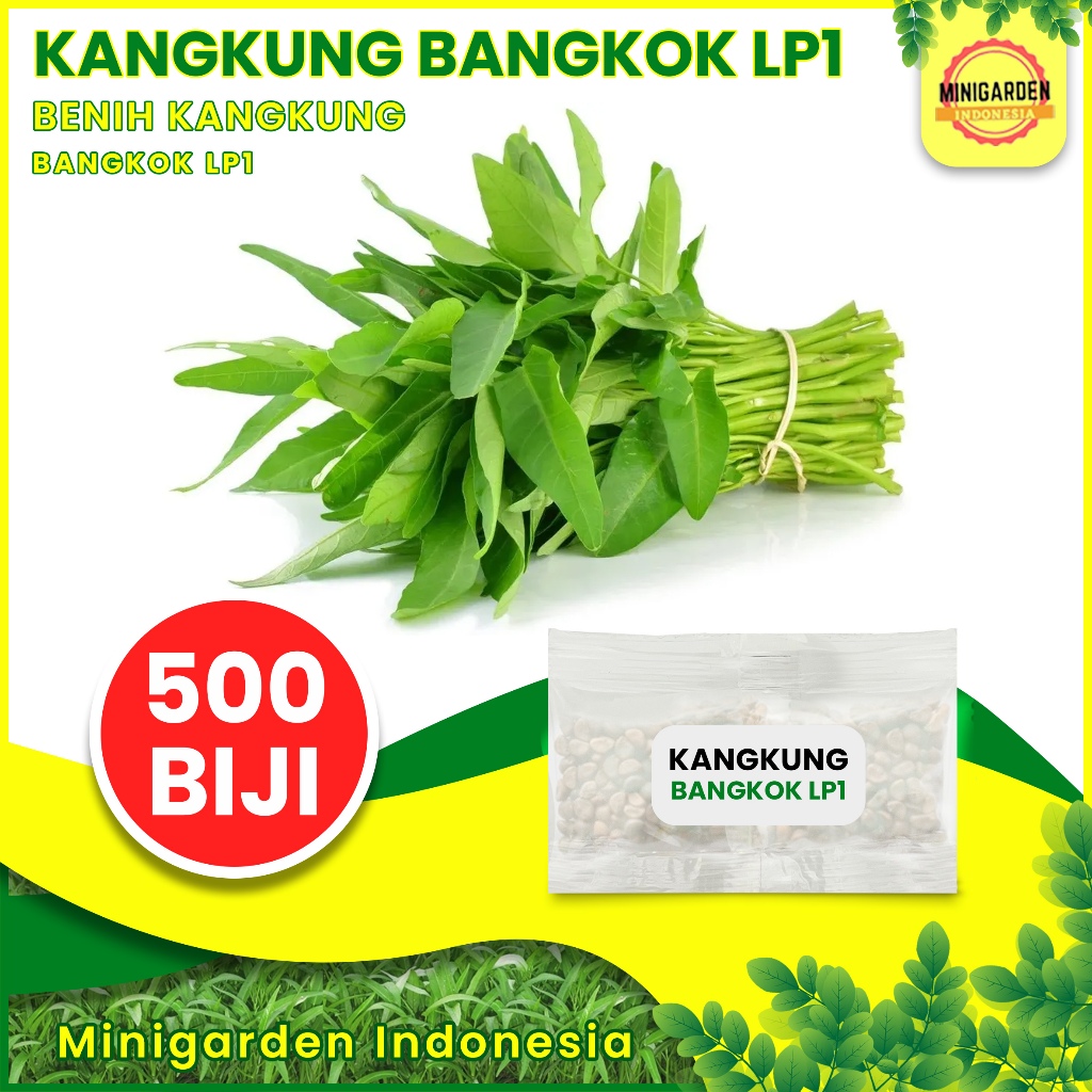 Benih Kangkung Bangkok Super LP-1 repack bibit tanaman sayur sayuran hidroponik