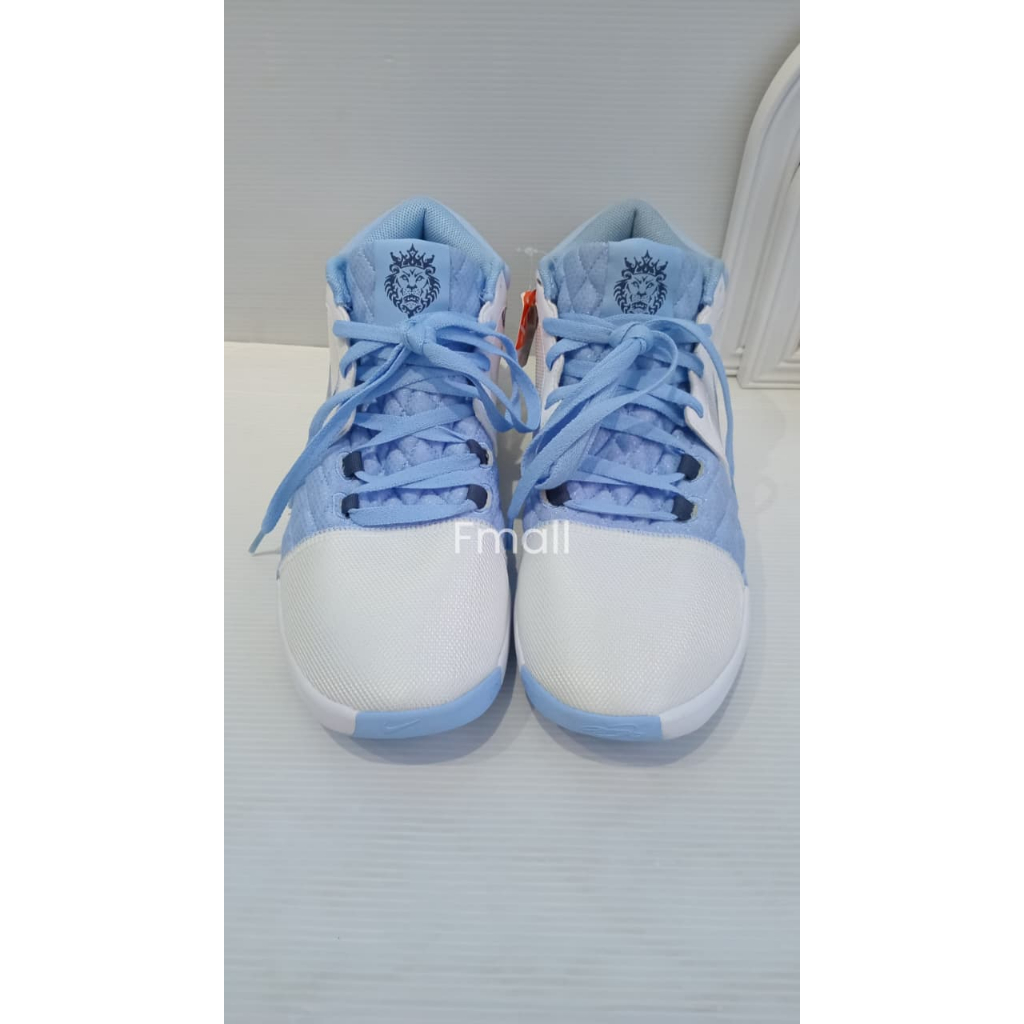 NIKE LEBRON WITNESS VIII EP