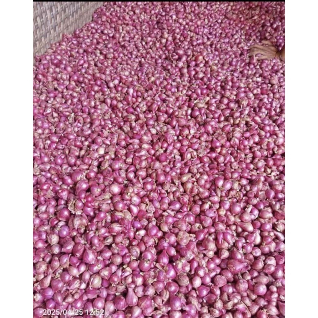 

bawang merah pilihan superan