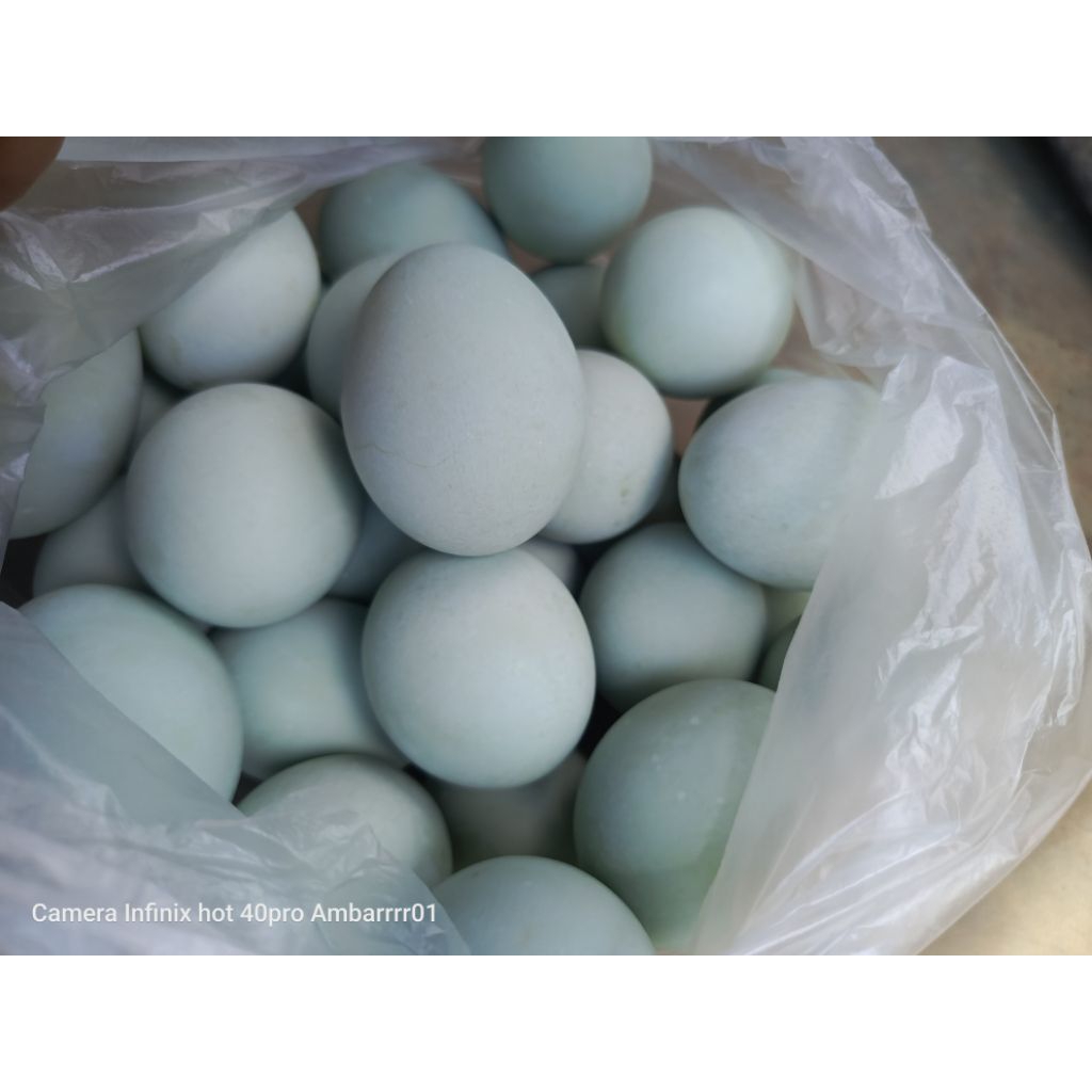 

Telur asin, telur bebek