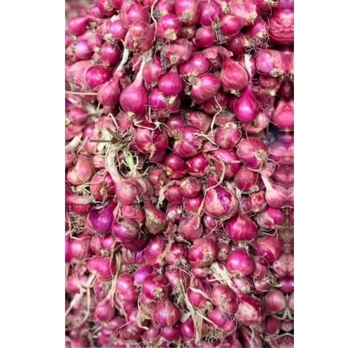 

Bawang Merah Super Brebes