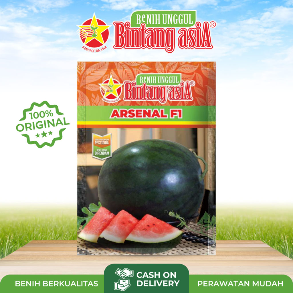 Benih Biji Unggul Semangka 3N Merah Non Biji Tanpa Biji Benih Rasa Manis ARSENAL F1 Cap Bintang Asia