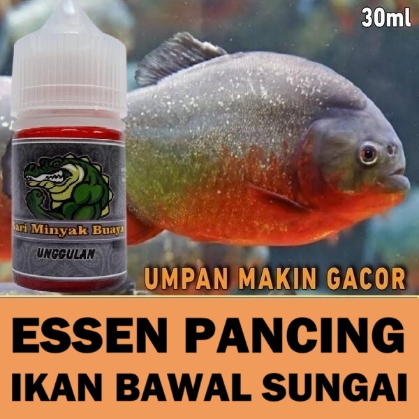 ESSEN MANCING IKAN BAWAL DI SUNGAI ISI 30ML