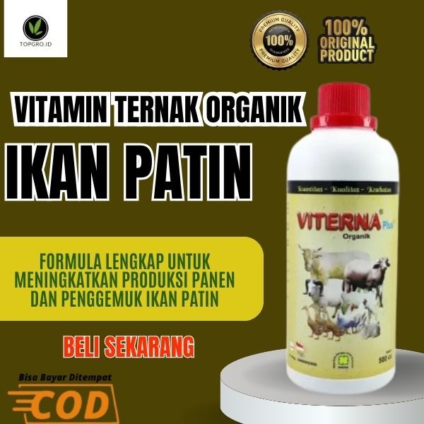 Vitamin Ikan Patin / Vitamin Ikan Patin Cepat Besar / Vitamin Ikan Patin Segar / Albino / Jumbo