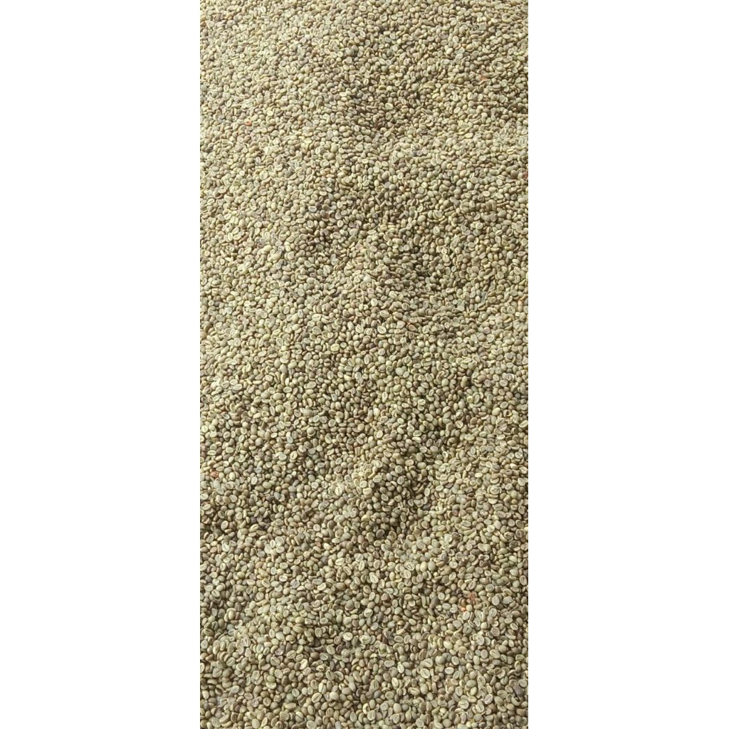 

greenbean robusta natural