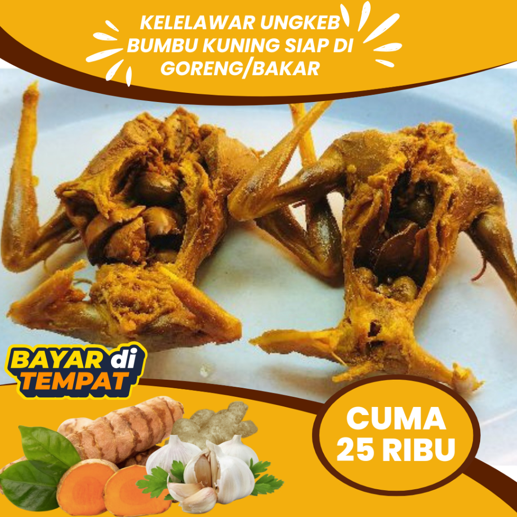 

OBAT ASMA DAGING KELELAWAR KELAPA ATAU CODOT UNGKEB SIAP GORENG DAN BAKAR- DAGING KELELAWAR BERHASIAT OBAT ASMA ISI 2 EKOR