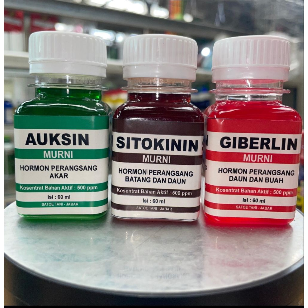 Paket AUKSIN,GIBERELIN, SITOKININ 60Ml