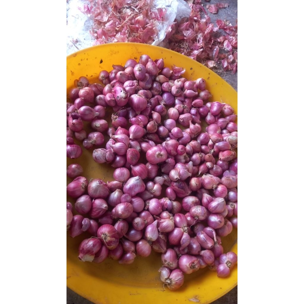 

BAWANG MERAH LOKAL