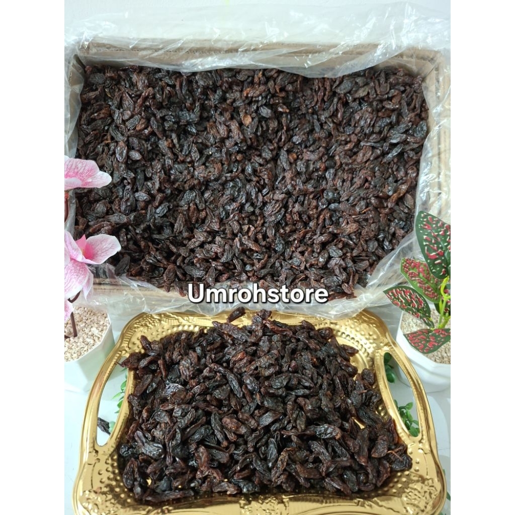 

Kismis Hitam Manis 1 Kg Enak Fresh Oleh Oleh Haji Umroh