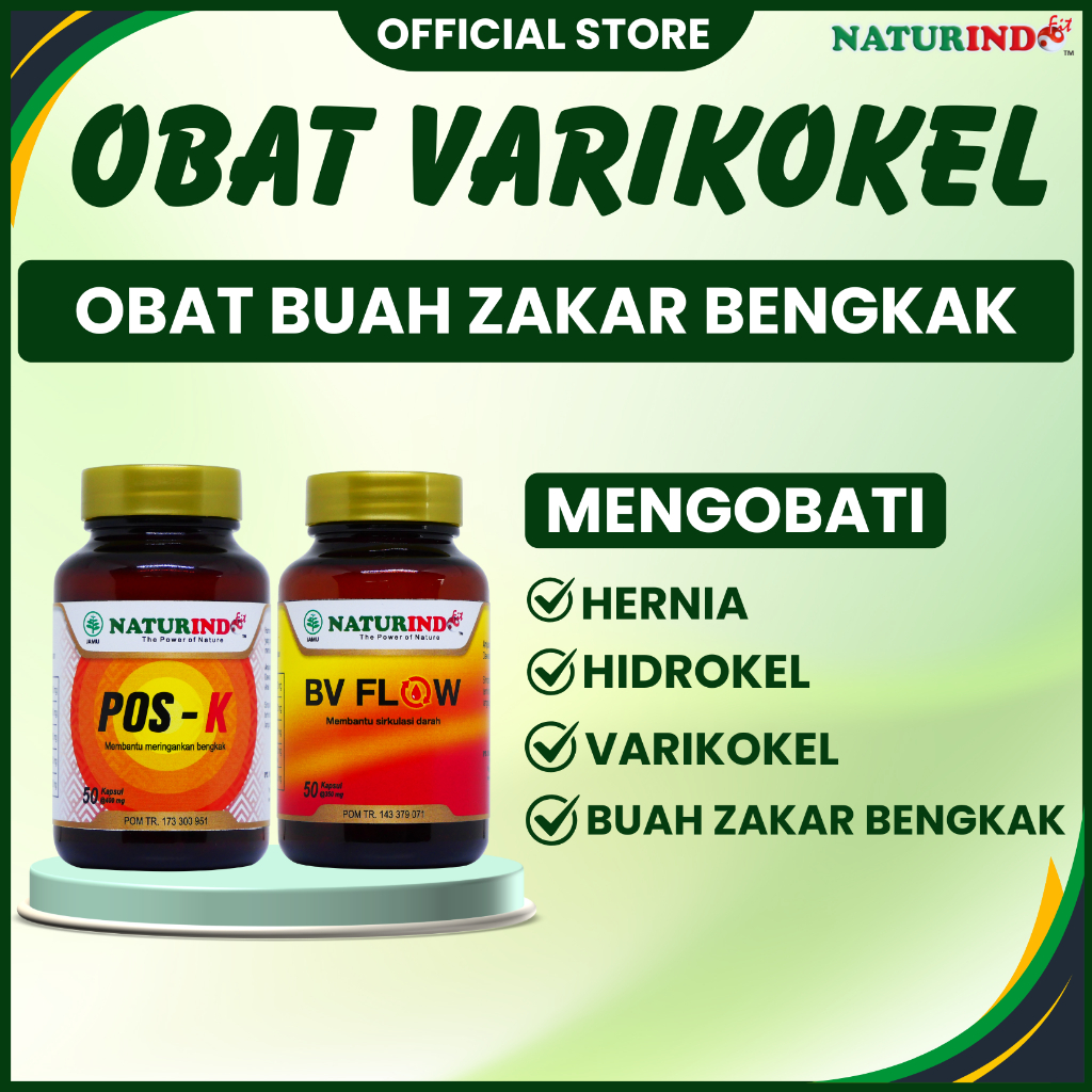 Obat Varikokel Herbal Testis Bengkak Hidrokel Buah Zakar Bengkak