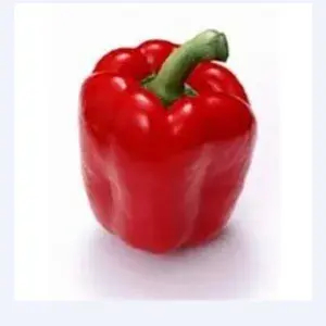 

Paprika Merah per Buah