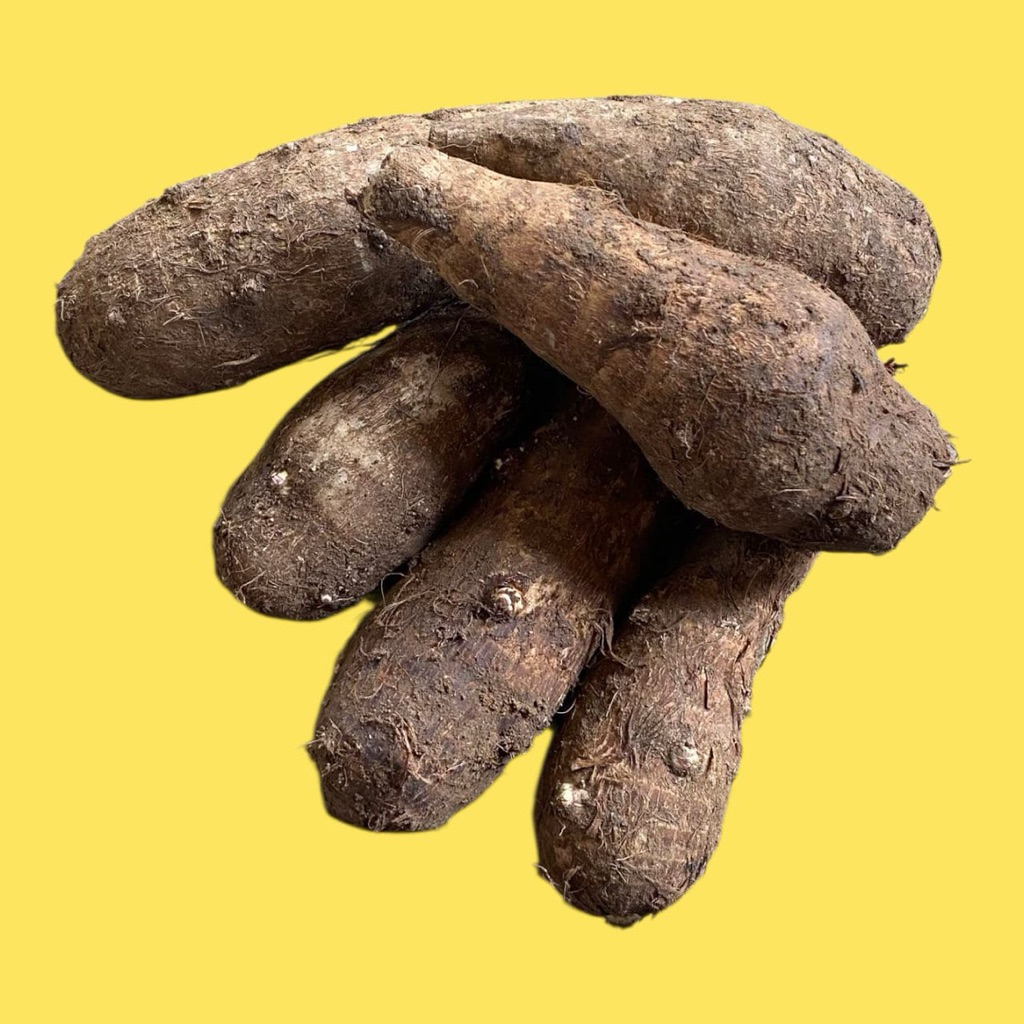 

UMBI TALAS PULEN BERGARANSI