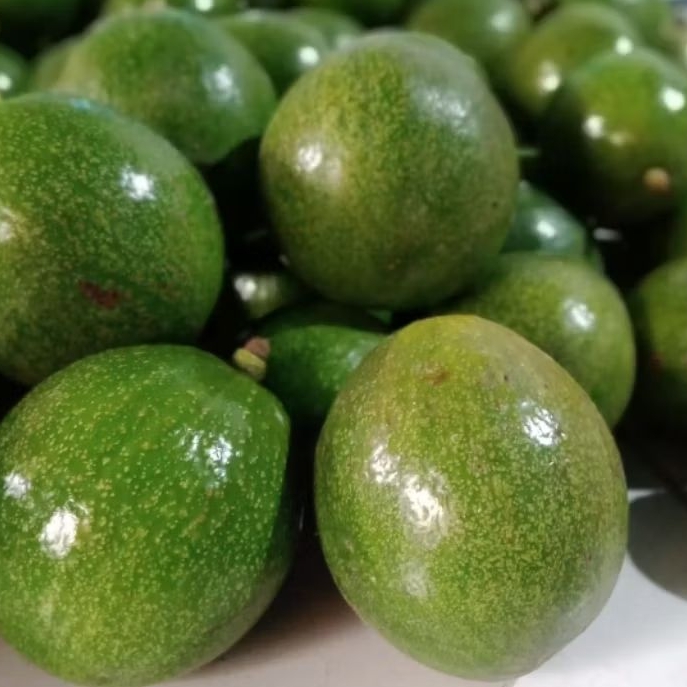 

ALPUKAT 1 KG ISI 3 DAN 4 BUAH FRESH