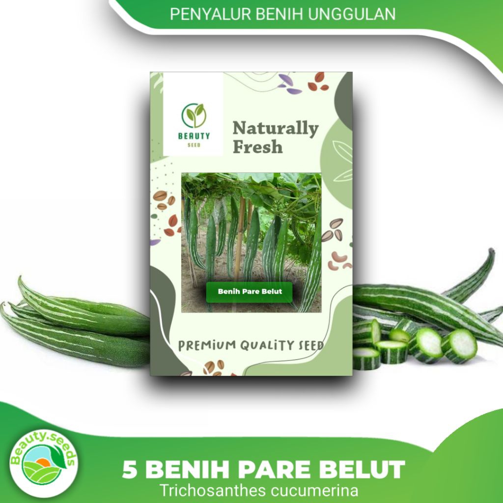 5 Butir Benih Biji Pare Belut - Benih Unggul Pare Belut Siap Semai Pare Belut (Trichosanthes cucumer