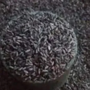 Beras Ketan Hitam 1 Kg