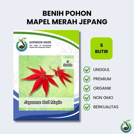 Biji Benih Pohon Maple Merah Jepang