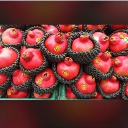 

Delima RRC red super 700gram