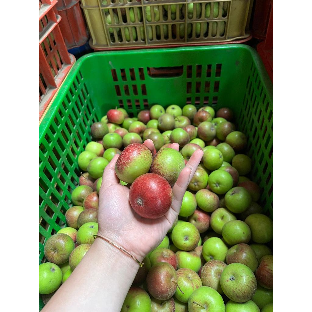 

Apel Rome Beauty Mini 1Kg (Isi 20 - 25 Buah)