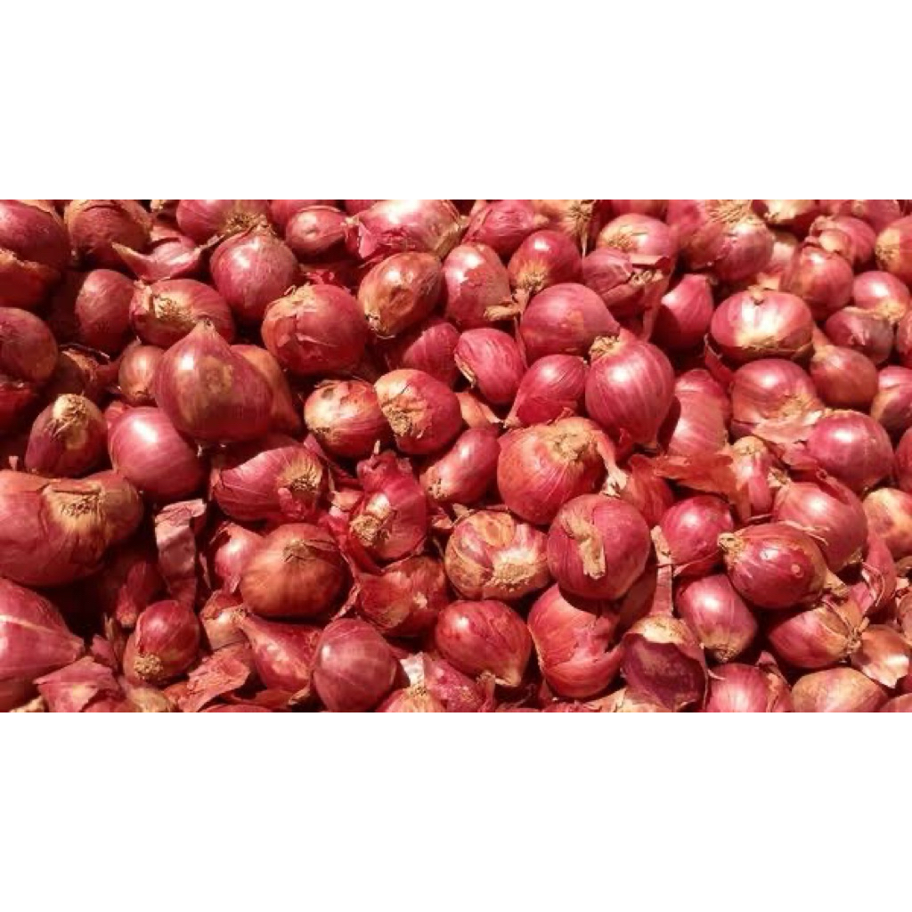 

Bawang merah Bima 1kg