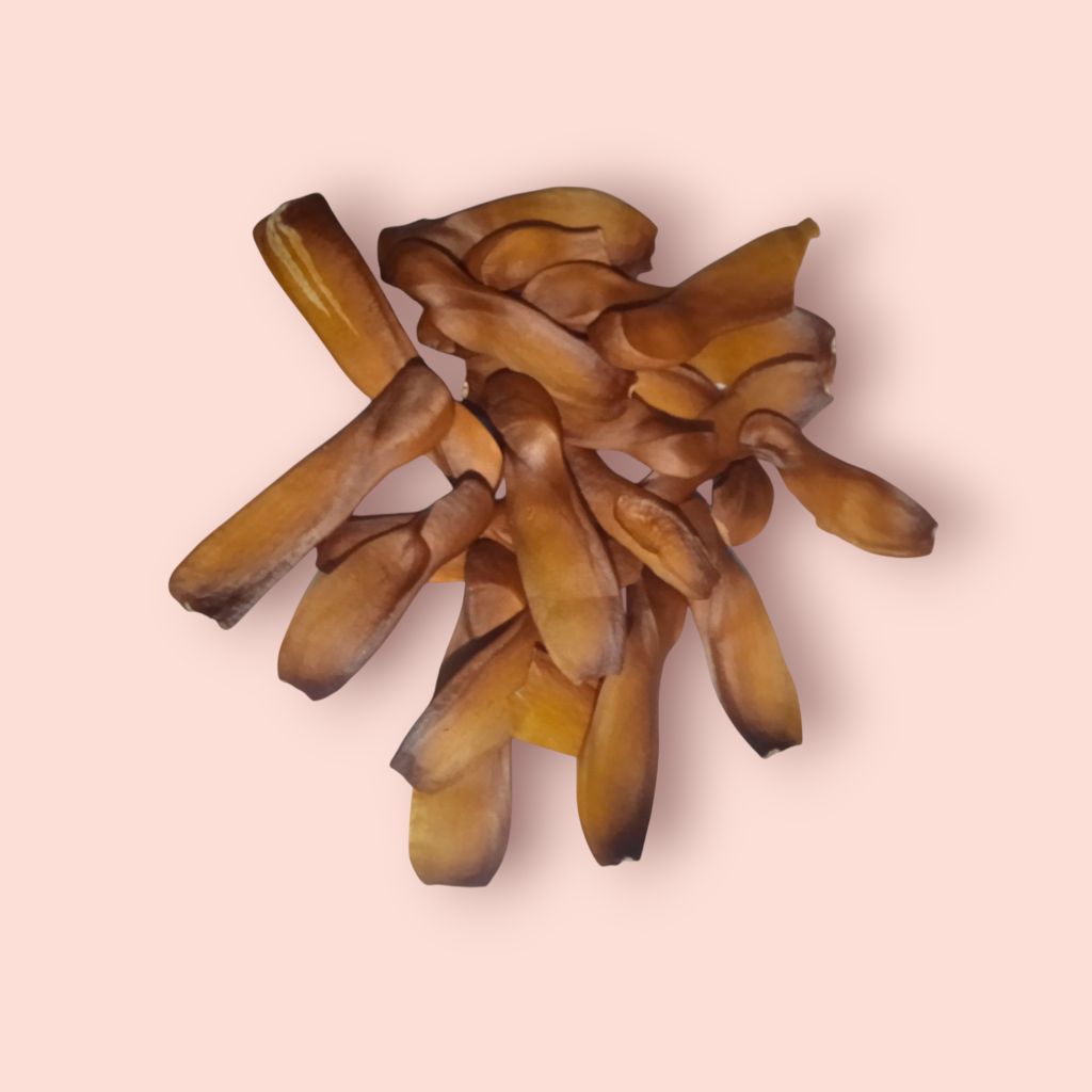 

Biji mahoni kering 1 pcs, biji mahoni jatohan dari pohon