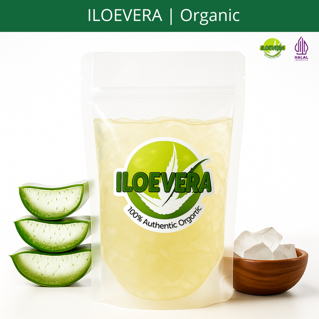 

Lidah Buaya Kupas / Nata De Aloe Vera 500g – 100% Organik, Kenyal, Sehat, dan Segar Rasa Original