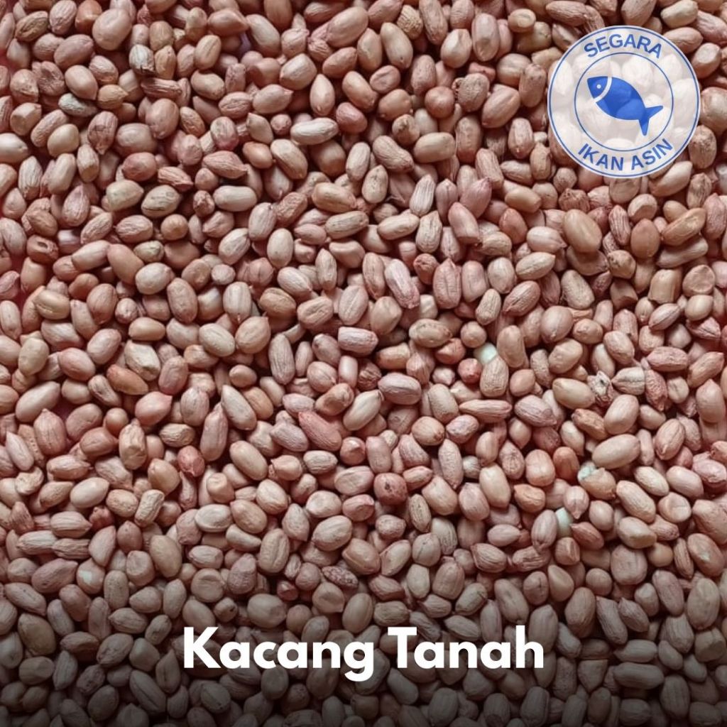 

Kacang Tanah | 250 gr / 500 gr / 1 kg