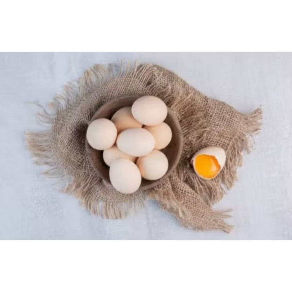 

TELUR AYAM KAMPUNG ASLI 100%