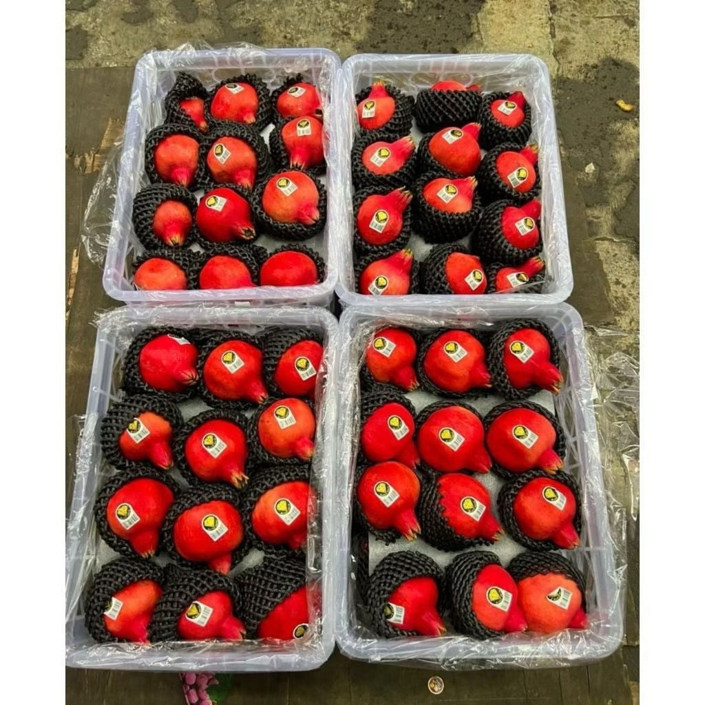 

Delima Tunisa | Delima Import Segar 6 Kg Perkeranjang