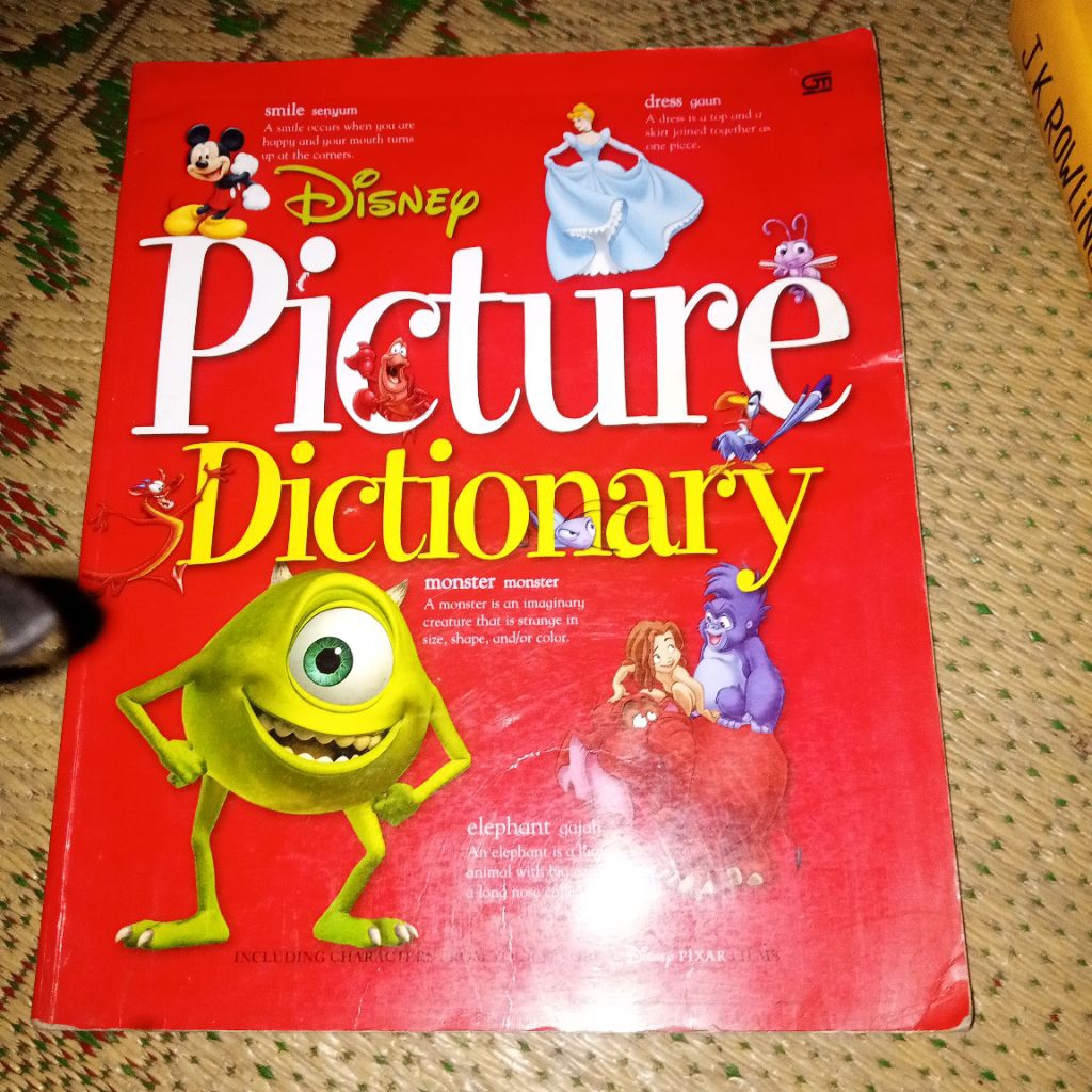 Disney PICTURE DICTIONARY/GM