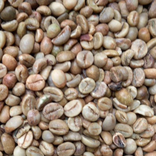 

Biji Kopi/Green Bean Robusta Bengkulu G1 1KG