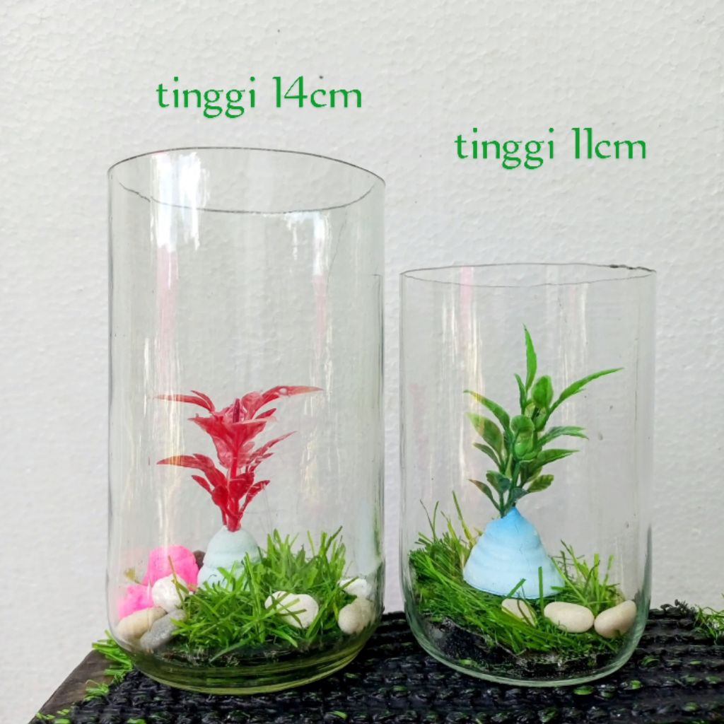 Botol cupang paket 2 pcs Botol kaca wadah cupang aquarium cupang set rumput Akuarium sintetis solite