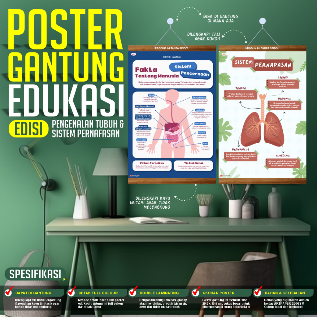 

Poster edukasi gantung, poster pengenalan tubuh manusia