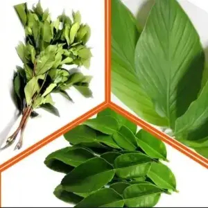 

Daun Salam + Daun Kunyit + Daun Jeruk per Pack.
