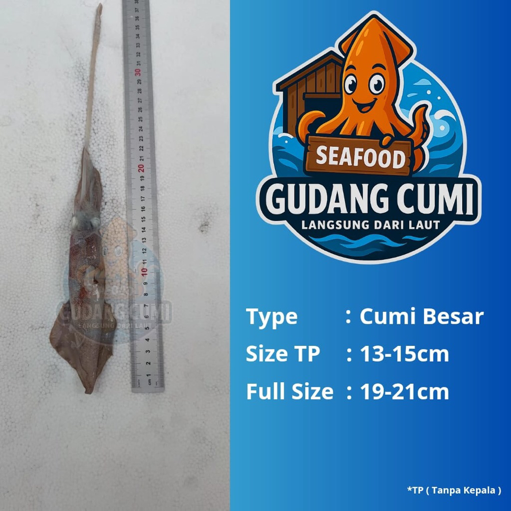 

Cumi Segar 500g Cumi Tinta Cumi Besar Cumi Jumbo