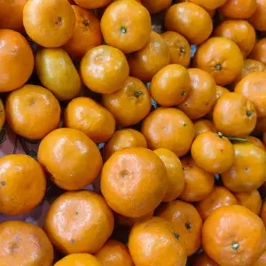 

jeruk santang gundul