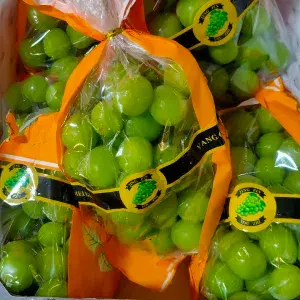anggur hijau muscat tanpa biji premium 1kg