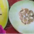 

Melon setengah potong