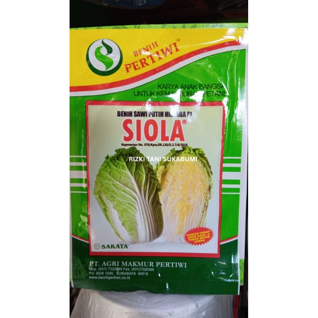 

Sawi Putih Siola, Tahan Akar Gada & Busuk Lunak RIZKIT TANI SUKABUMI PRODUK DIJAMIN ASLI