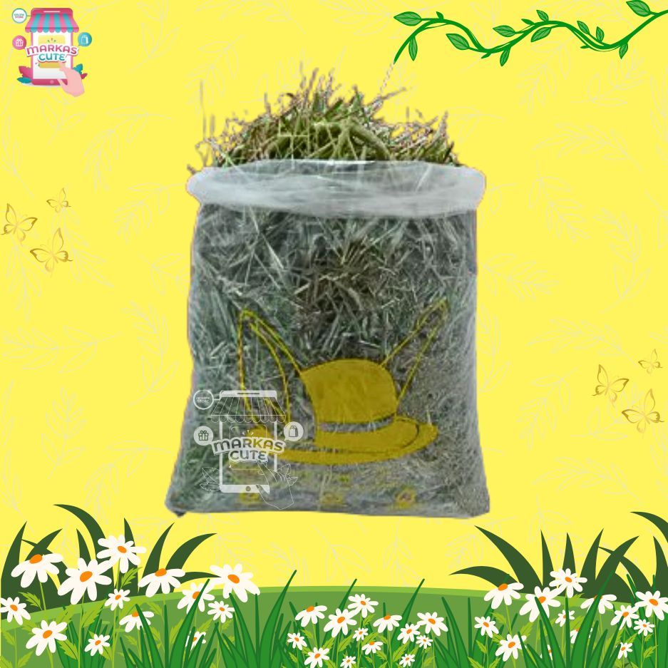 Photo inspiration: Picture Idea: Harga Alfalfa Rabbit Terbaru Feb 2026