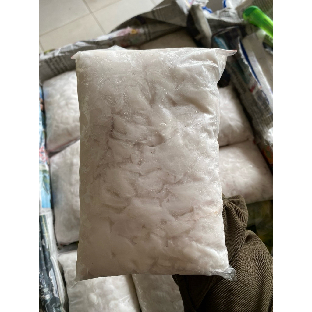 Daging kelapa muda/degan Frozen