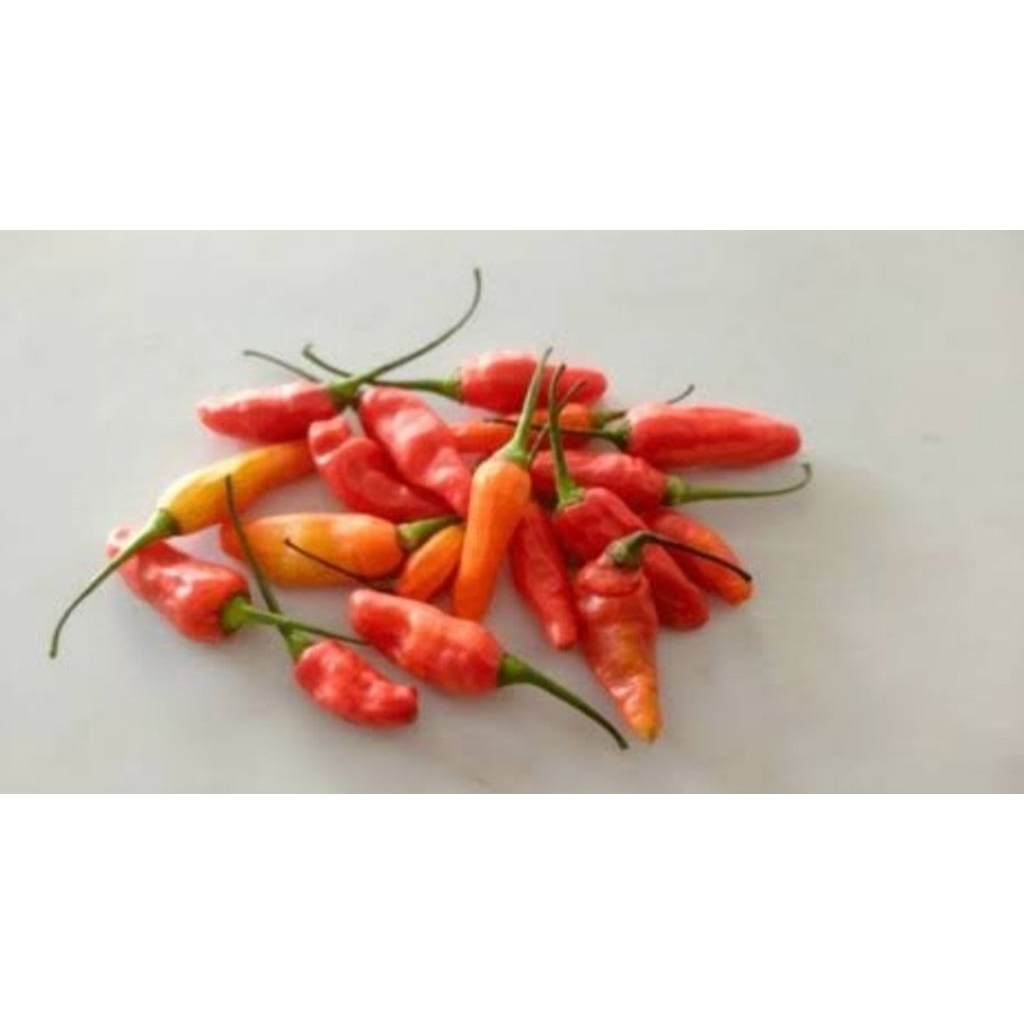 

Cengek Merah 250gram-500gram