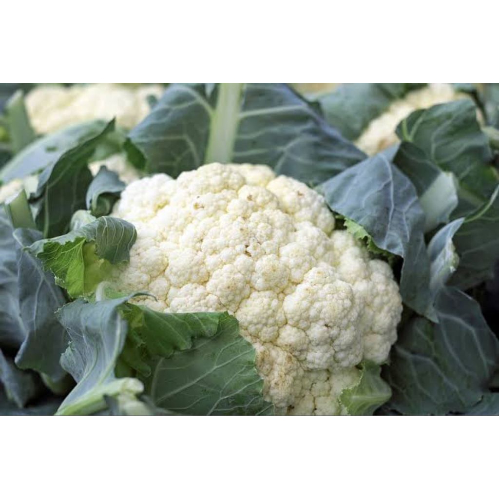 

Sayur Kembang Kol 500 g