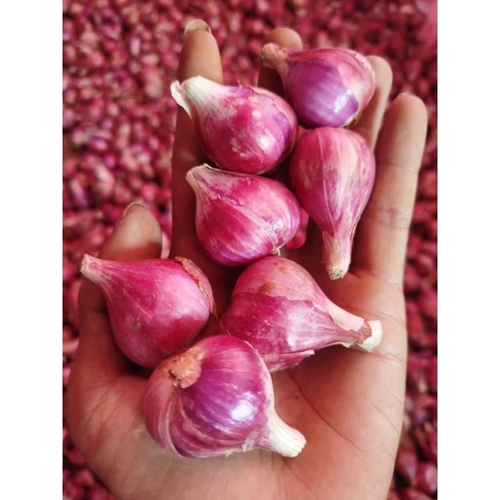 

BAWANG MERAH ( Serba 5ribu )