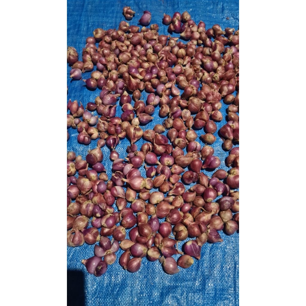 

Brambang - Bawang Merah Mix