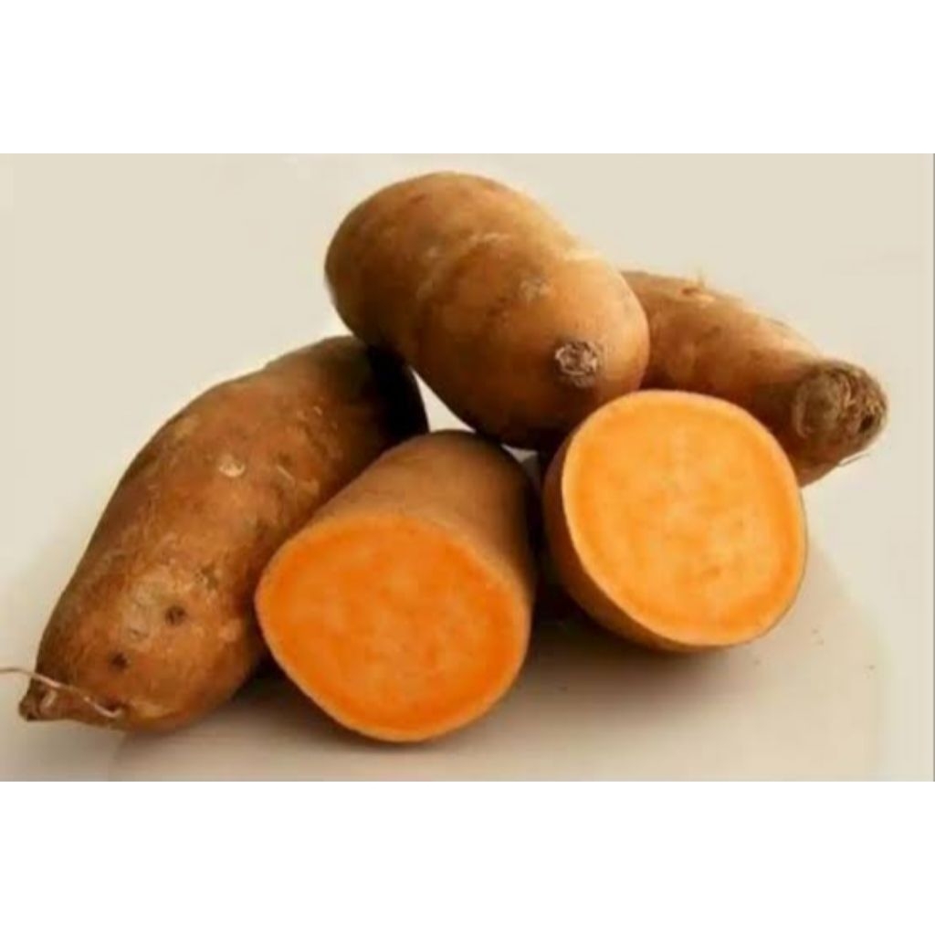

ubi kuning/orange