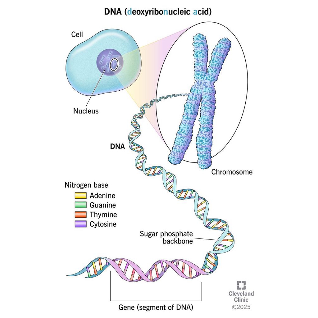 

JASA MENGGAMBAR ( BEBAS REQUEST) HARGA MURAH