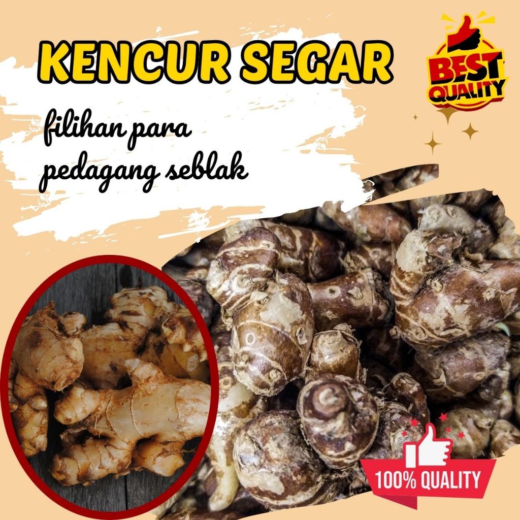

Kencur Segar Murah / Kencur Segar 1 Kg