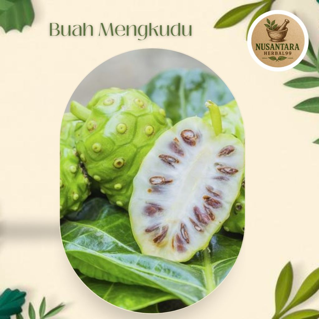 

Buah Mengkudu/Bentis Buah Herbal Banyak Manfaat