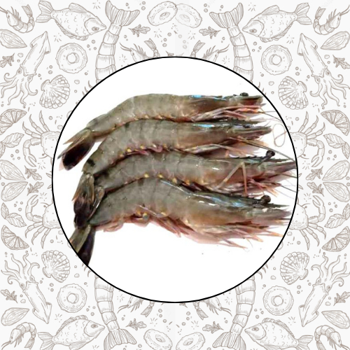 

1KG UDANG WINDU BLACK TIGER FRESH FROZEN QUALITY PREMIUM