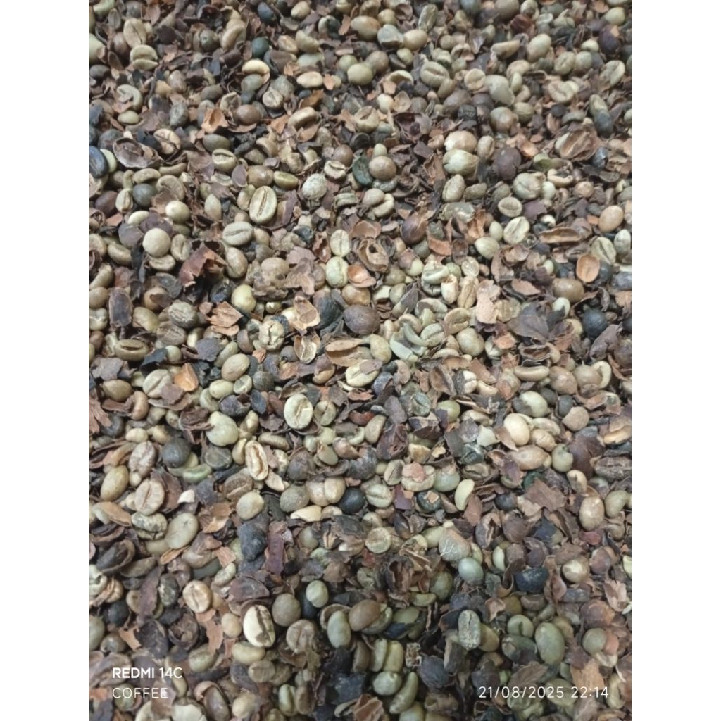 

PIXEL KOPI ROBUSTA 50k